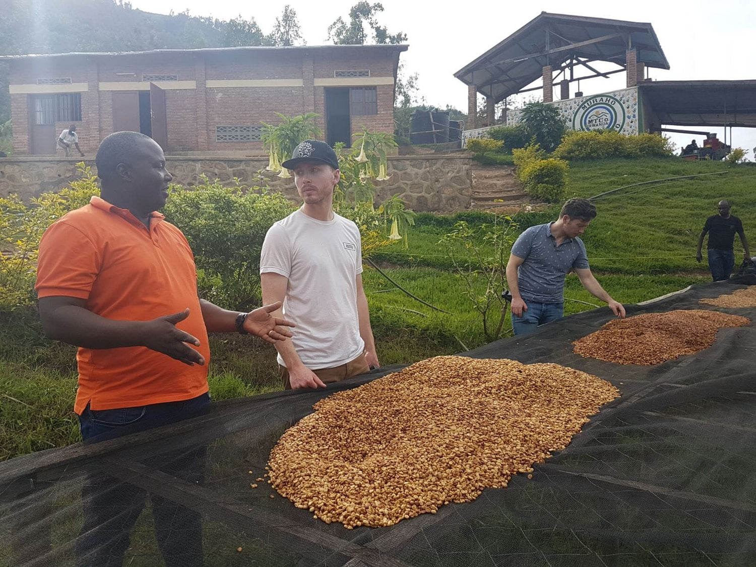 Hydro Honey Experimental Processing at Nyamasheke, Rwanda