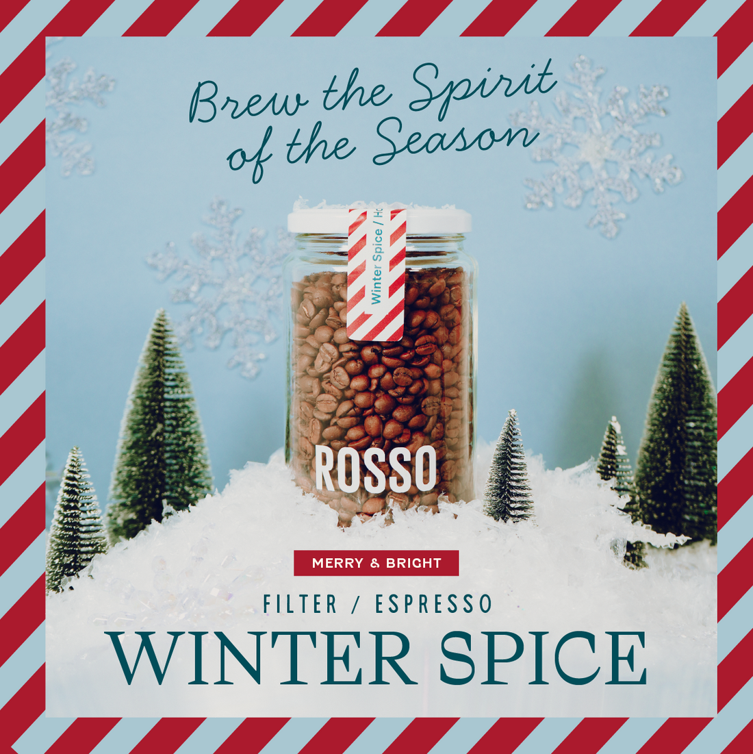 Winter Spice / Holiday Blend